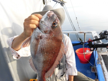 鯛紅丸 釣果