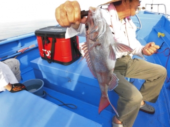 鯛紅丸 釣果