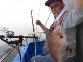 鯛紅丸 釣果