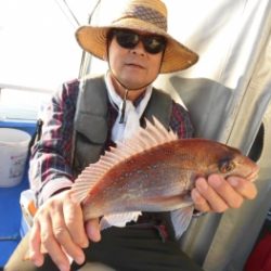 鯛紅丸 釣果