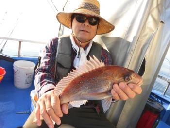 鯛紅丸 釣果
