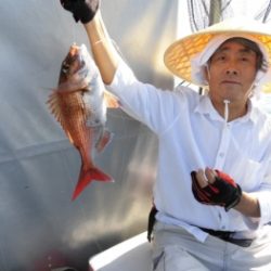 鯛紅丸 釣果
