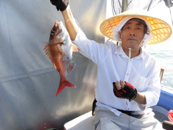 鯛紅丸 釣果