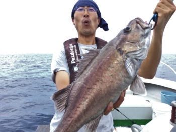 鯛紅丸 釣果