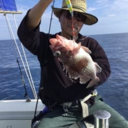 鯛紅丸 釣果