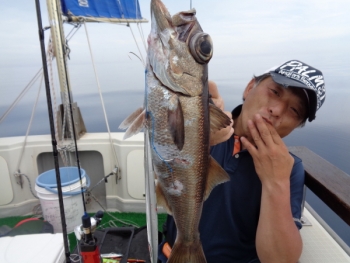 鯛紅丸 釣果