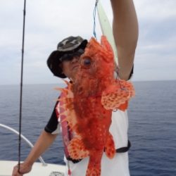 鯛紅丸 釣果
