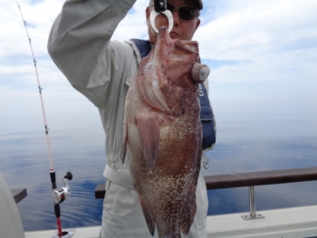 鯛紅丸 釣果