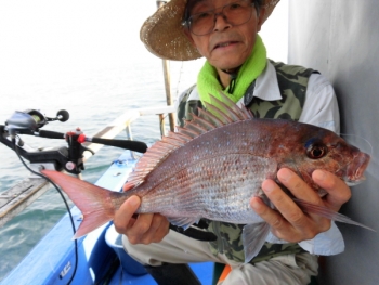 鯛紅丸 釣果