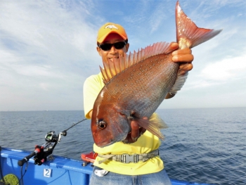 鯛紅丸 釣果