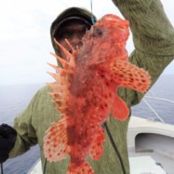鯛紅丸 釣果