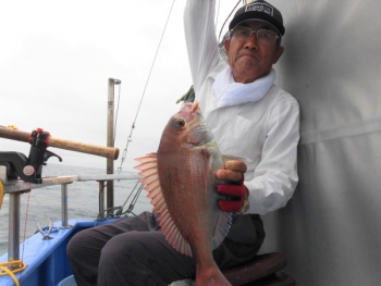 鯛紅丸 釣果