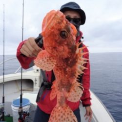 鯛紅丸 釣果
