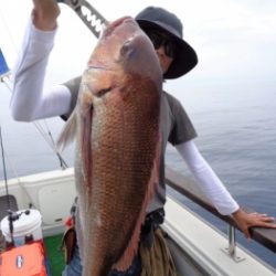 鯛紅丸 釣果