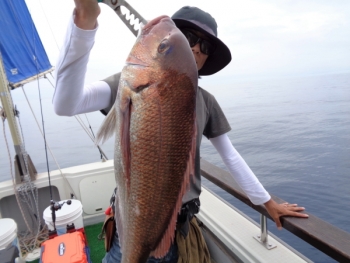 鯛紅丸 釣果