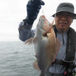 鯛紅丸 釣果
