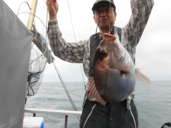 鯛紅丸 釣果