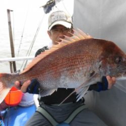 鯛紅丸 釣果