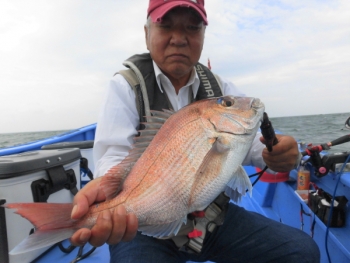 鯛紅丸 釣果