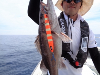 鯛紅丸 釣果
