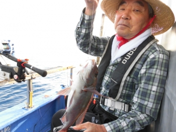 鯛紅丸 釣果
