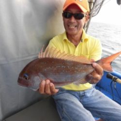 鯛紅丸 釣果