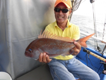 鯛紅丸 釣果