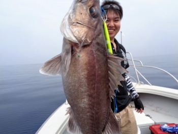 鯛紅丸 釣果