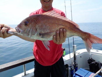 鯛紅丸 釣果