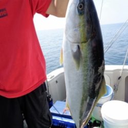 鯛紅丸 釣果