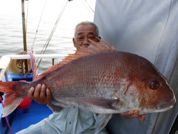 鯛紅丸 釣果