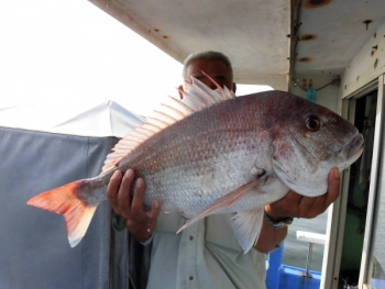 鯛紅丸 釣果