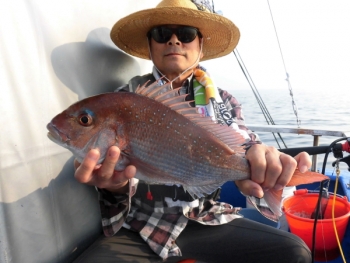 鯛紅丸 釣果