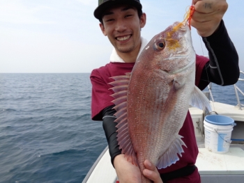 鯛紅丸 釣果