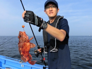 鯛紅丸 釣果