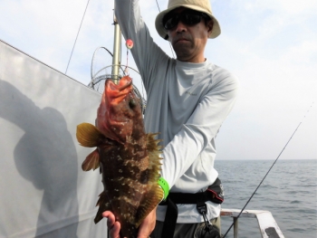鯛紅丸 釣果