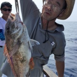 鯛紅丸 釣果