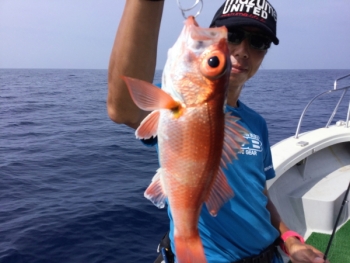 鯛紅丸 釣果
