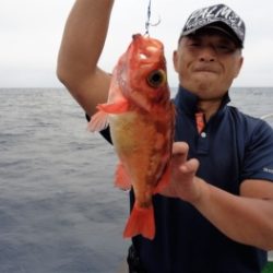 鯛紅丸 釣果
