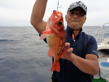 鯛紅丸 釣果