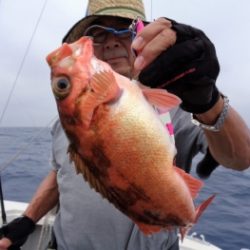 鯛紅丸 釣果