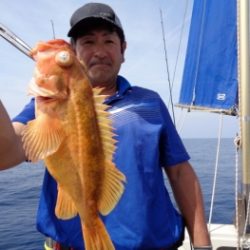 鯛紅丸 釣果