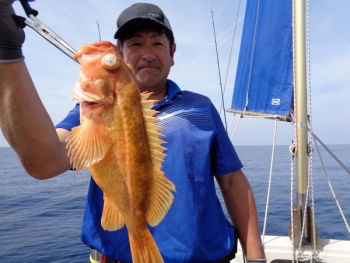 鯛紅丸 釣果