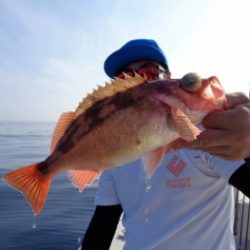 鯛紅丸 釣果