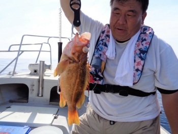 鯛紅丸 釣果