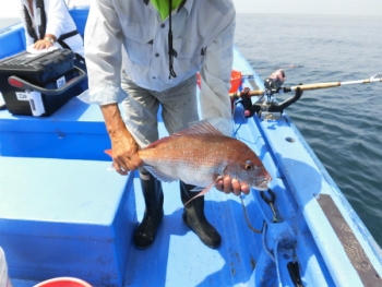 鯛紅丸 釣果