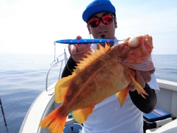 鯛紅丸 釣果