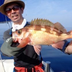 鯛紅丸 釣果