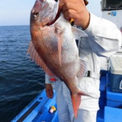 鯛紅丸 釣果