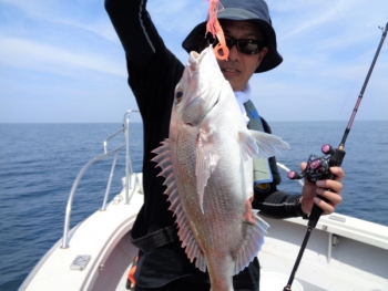 鯛紅丸 釣果